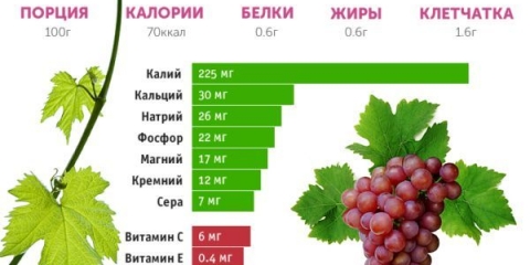 Koje vitamine sadrži grožđe i da li se može davati deci i trudnicama